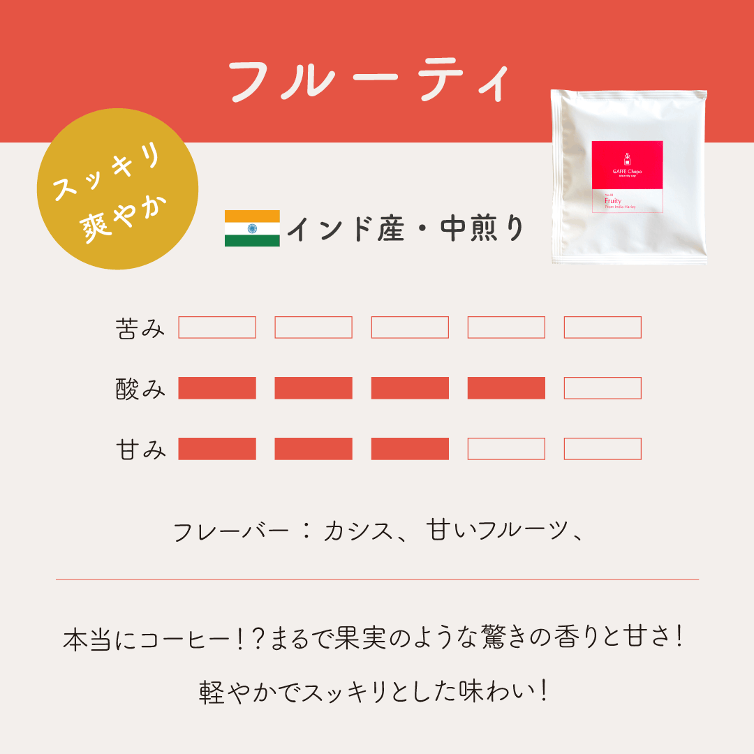 【お得セット】ティーバッグコーヒー カフェチャポ 全種セット【送料無料】