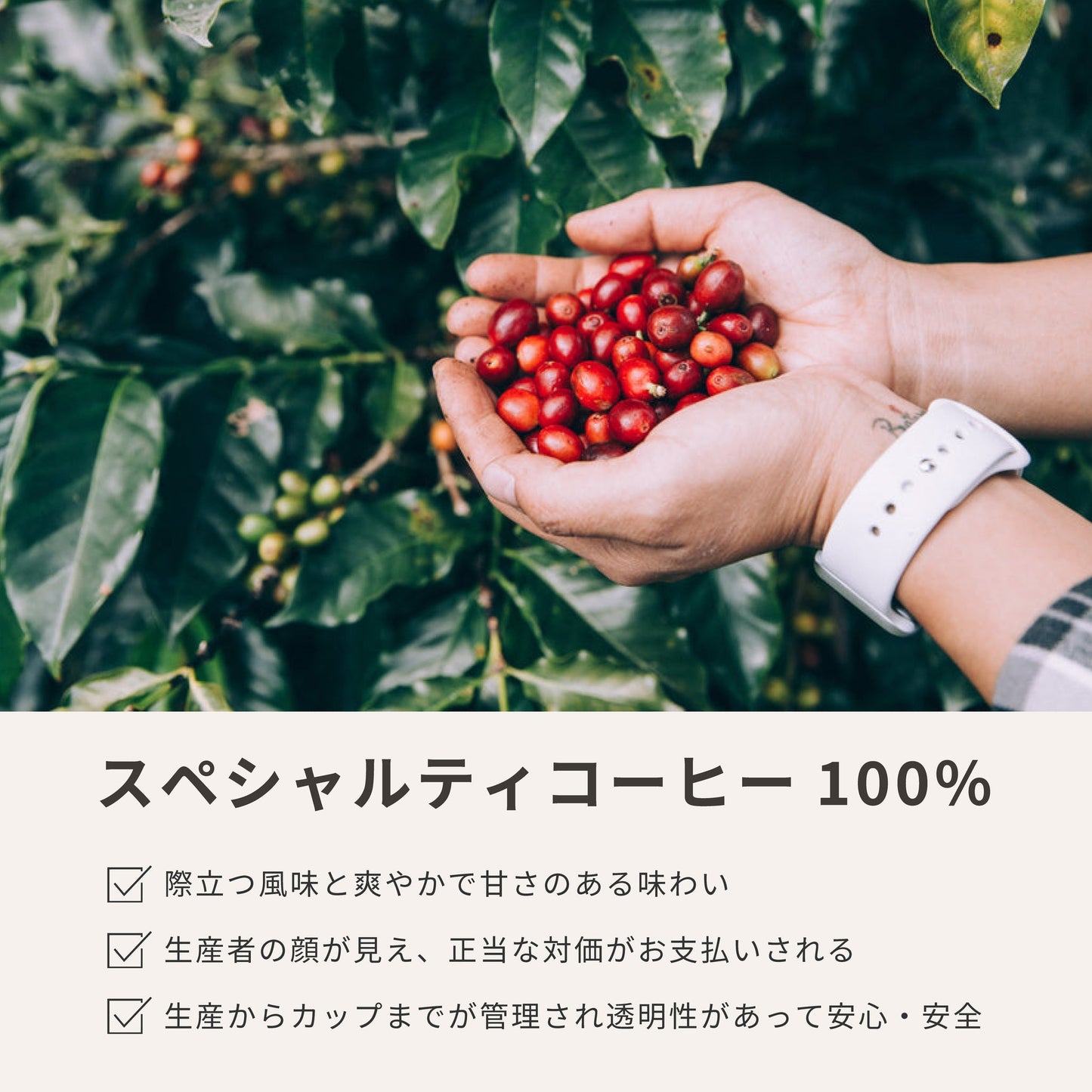 【お得セット】ティーバッグコーヒー カフェチャポ 全種セット【送料無料】